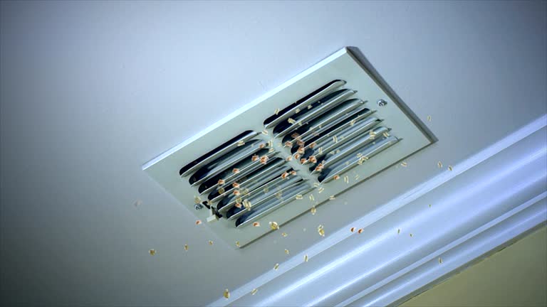 Best Dryer Vent Cleaning Services  in Luxemburg, WI