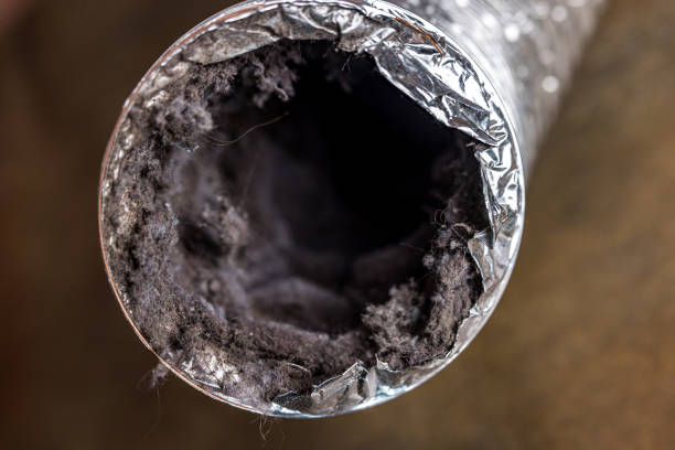 Best Duct Cleaning for Homes  in Luxemburg, WI